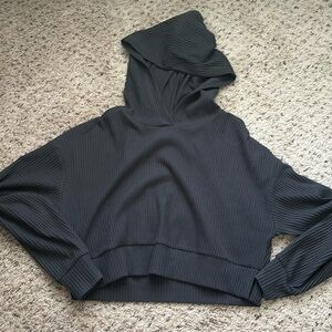 altard state ribbed crop hoodie